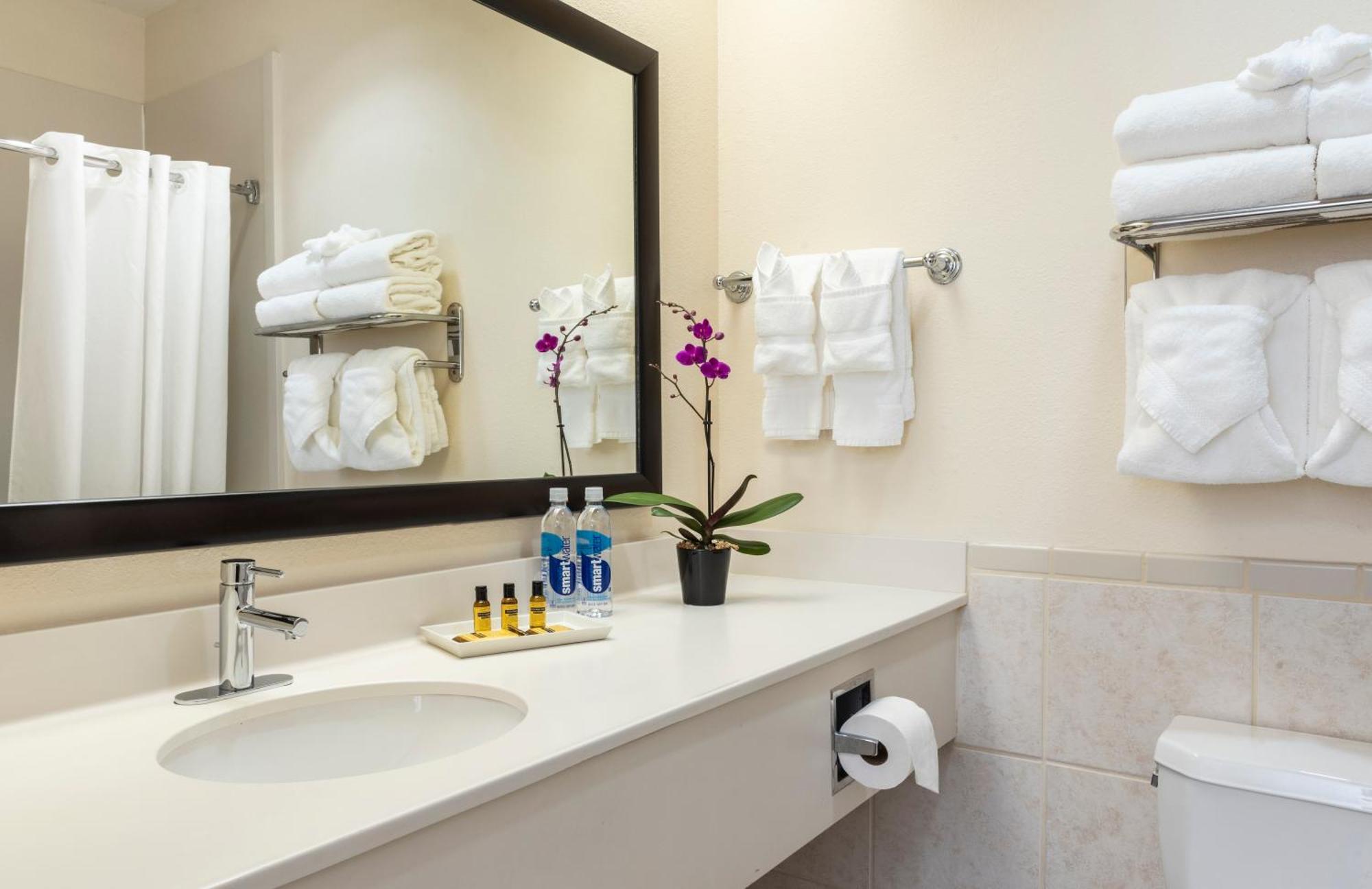 Best Western Plus Downtown Inn & Suites Houston Buitenkant foto