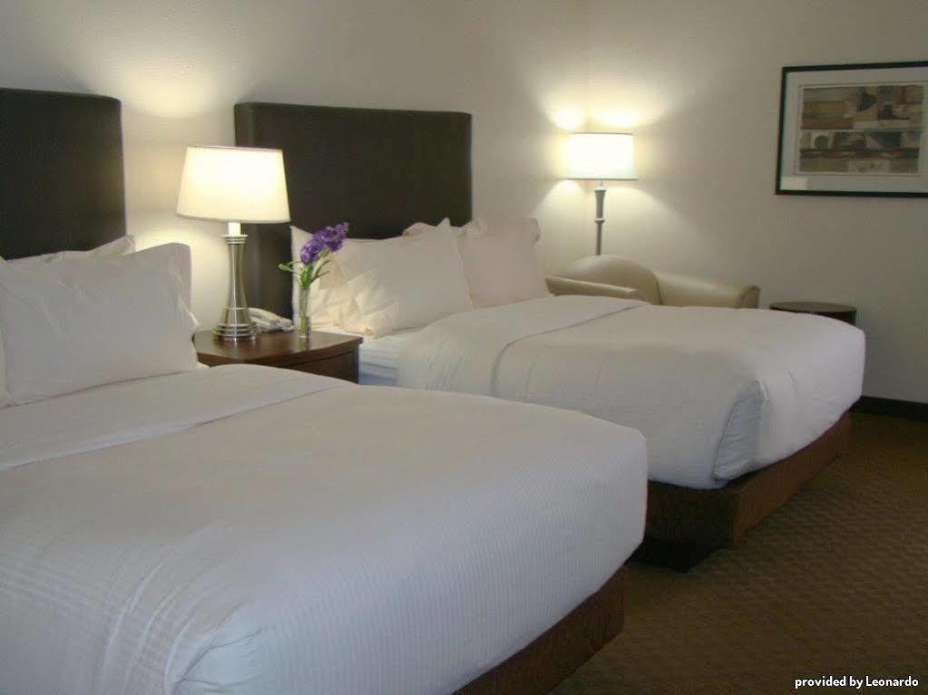 Best Western Plus Downtown Inn & Suites Houston Kamer foto